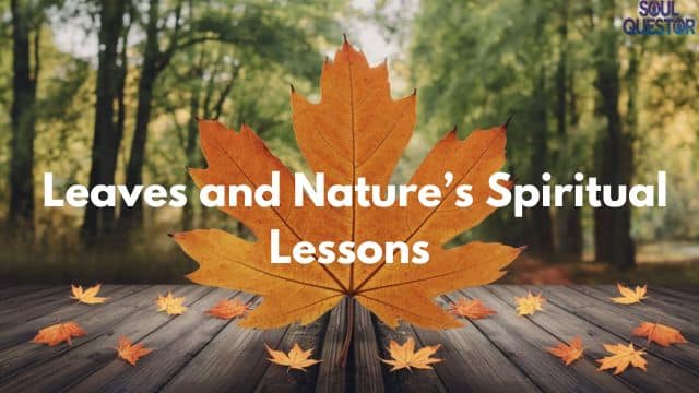 Leaves and Nature’s Spiritual Lessons