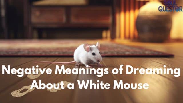 Negative Meanings of Dreaming About a White Mouse