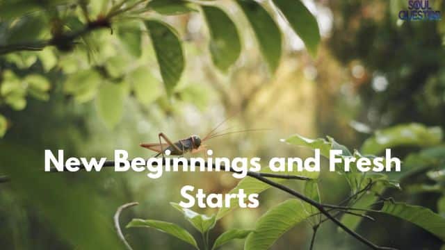 New Beginnings and Fresh Starts