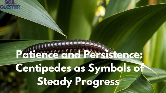 Patience and Persistence Centipedes as Symbols of Steady Progress