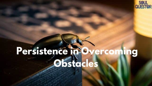 Persistence in Overcoming Obstacles