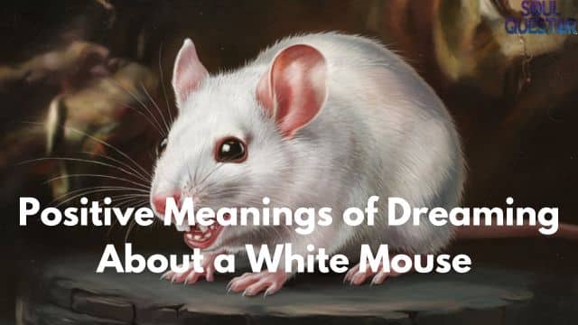 Positive Meanings of Dreaming About a White Mouse