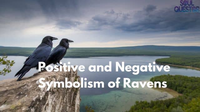 Positive and Negative Symbolism of Ravens