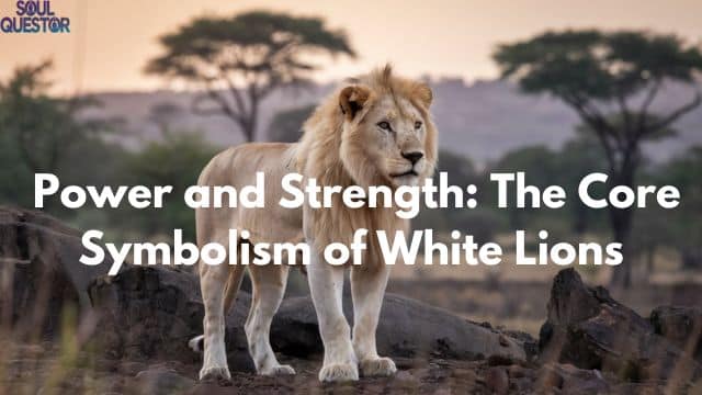 Power and Strength The Core Symbolism of White Lions