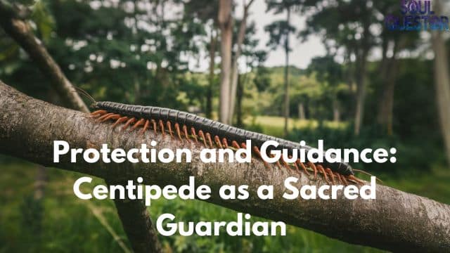 Protection and Guidance Centipede as a Sacred Guardian