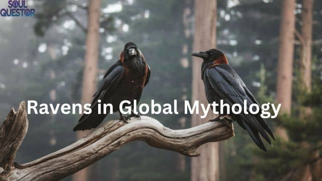 Ravens in Global Mythology