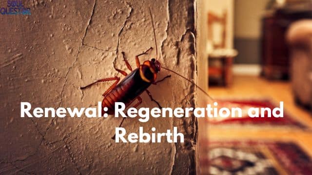 Renewal Regeneration and Rebirth