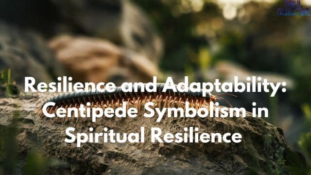 Resilience and Adaptability Centipede Symbolism in Spiritual Resilience