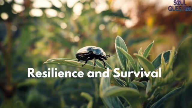 Resilience and Survival