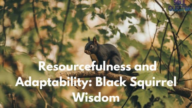 Resourcefulness and Adaptability Black Squirrel Wisdom