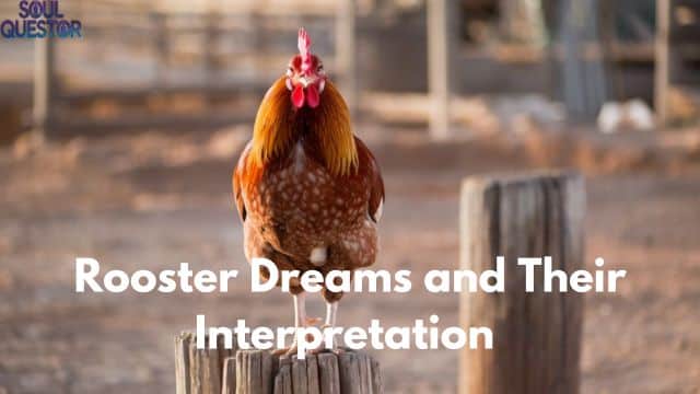 Rooster Dreams and Their Interpretation