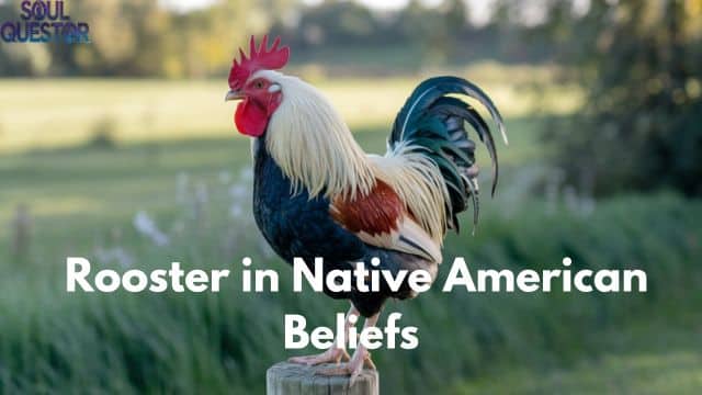 Rooster in Native American Beliefs