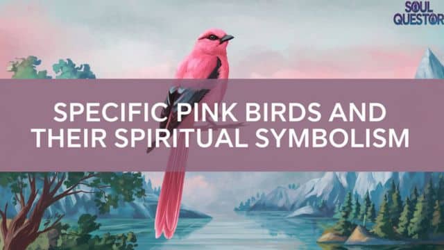 Specific Pink Birds and Their Spiritual Symbolism