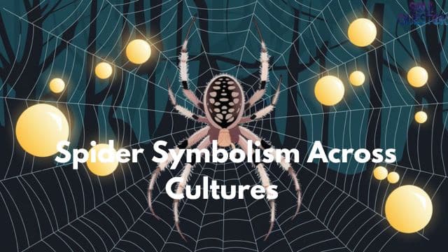 Spider Symbolism Across Cultures