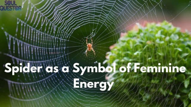 Spider as a Symbol of Feminine Energy