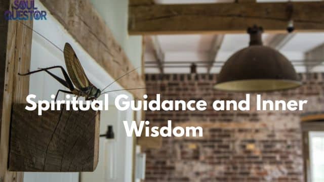 Spiritual Guidance and Inner Wisdom