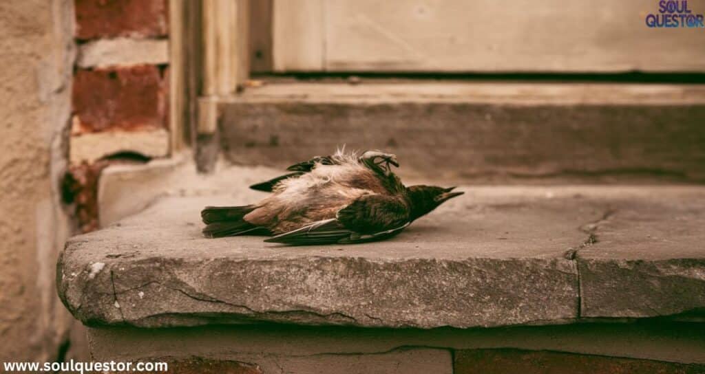 Spiritual Meaning of Dead Bird on Doorstep Unveiled symbolism