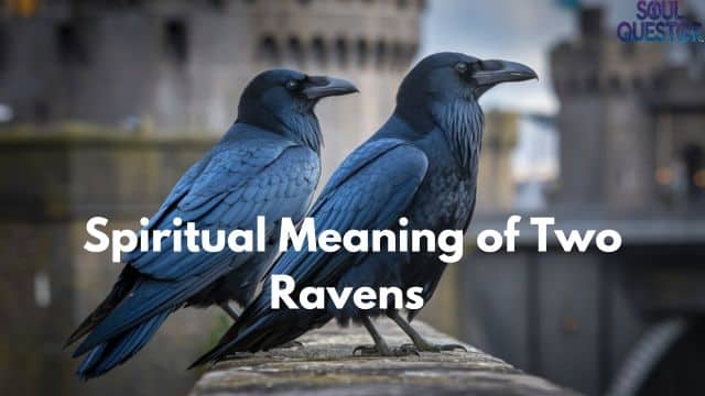 Spiritual Meaning of Two Ravens