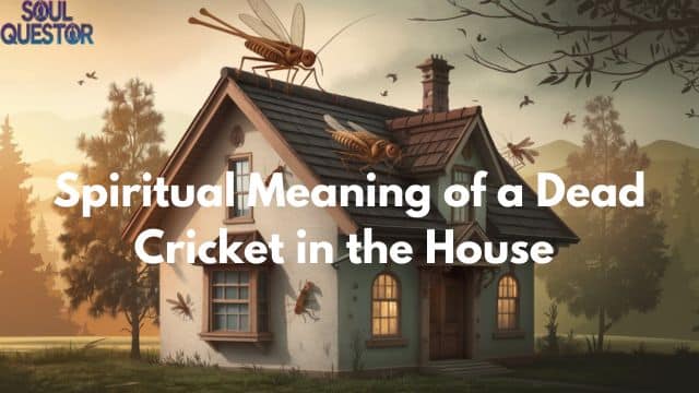 Spiritual Meaning of a Dead Cricket in the House