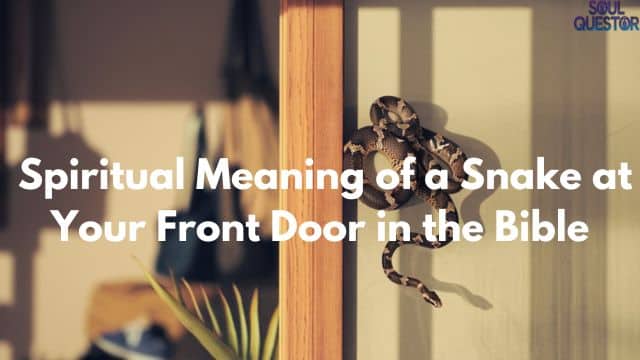 Spiritual Meaning of a Snake at Your Front Door in the Bible