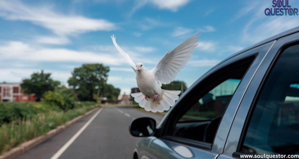 Spiritual Meanings of Birds Flying In Front of Your Car While Driving