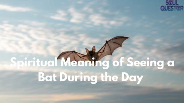 Spiritual Meaning of Seeing a Bat During the Day