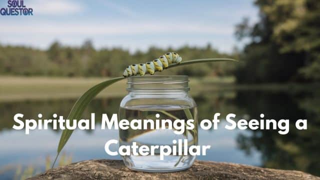 Spiritual Meanings of Seeing a Caterpillar