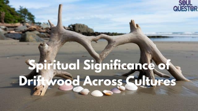 Spiritual Significance of Driftwood Across Cultures