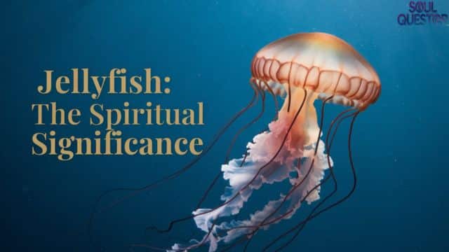 Spiritual Significance of Jellyfish