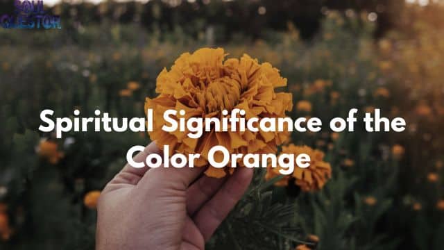 Spiritual Significance of the Color Orange