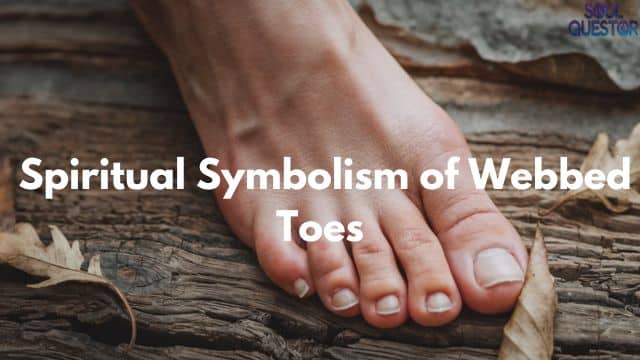 Spiritual Symbolism of Webbed Toes