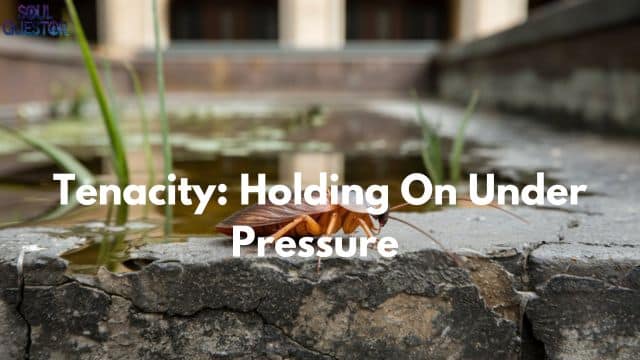 Tenacity Holding On Under Pressure