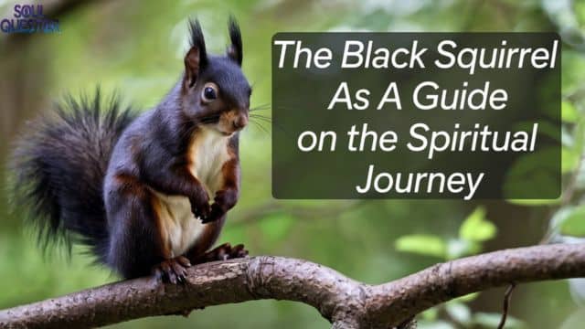 The Black Squirrel as a Guide on the Spiritual Journey