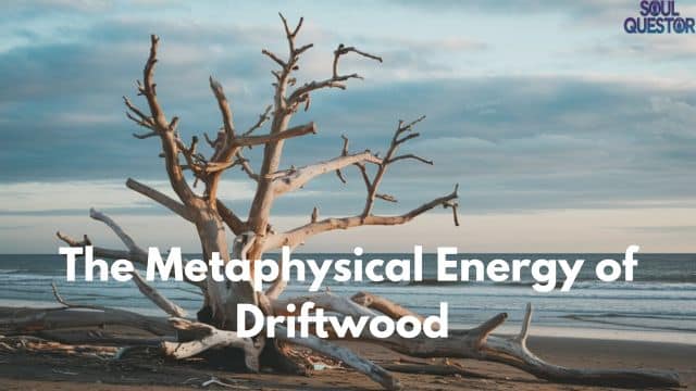 The Metaphysical Energy of Driftwood