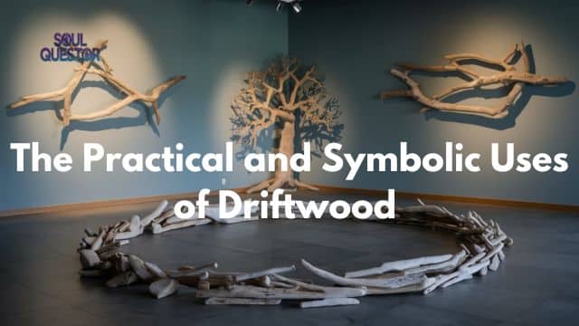 The Practical and Symbolic Uses of Driftwood