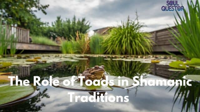 The Role of Toads in Shamanic Traditions