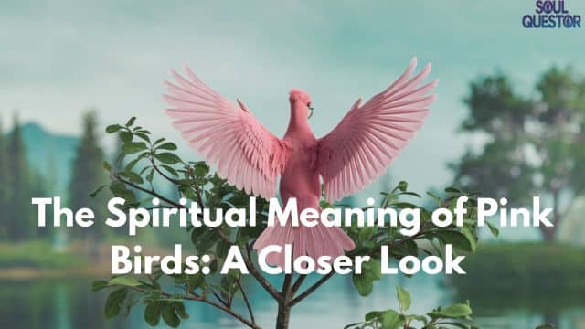 The Spiritual Meaning of Pink Birds A Closer Look