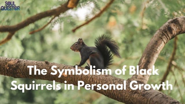 The Symbolism of Black Squirrels in Personal Growth