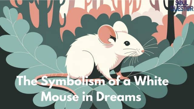 The Symbolism of a White Mouse in Dreams