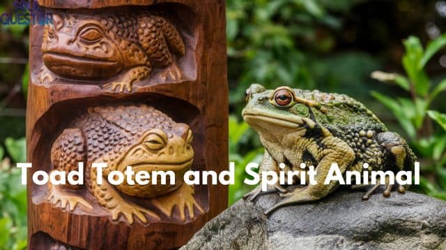 Toad Totem and Spirit Animal