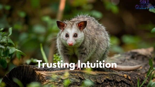 Trusting Intuition