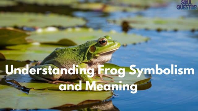 Understanding Frog Symbolism and Meaning