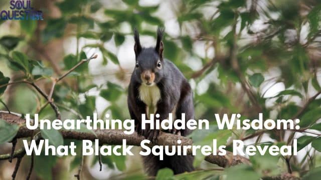 Unearthing Hidden Wisdom What Black Squirrels Reveal