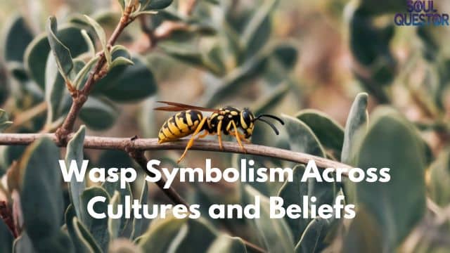 Wasp Symbolism Across Cultures and Beliefs