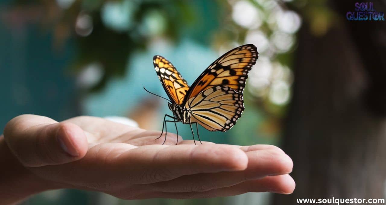 What Does It Mean If a Butterfly Lands on You spiritually