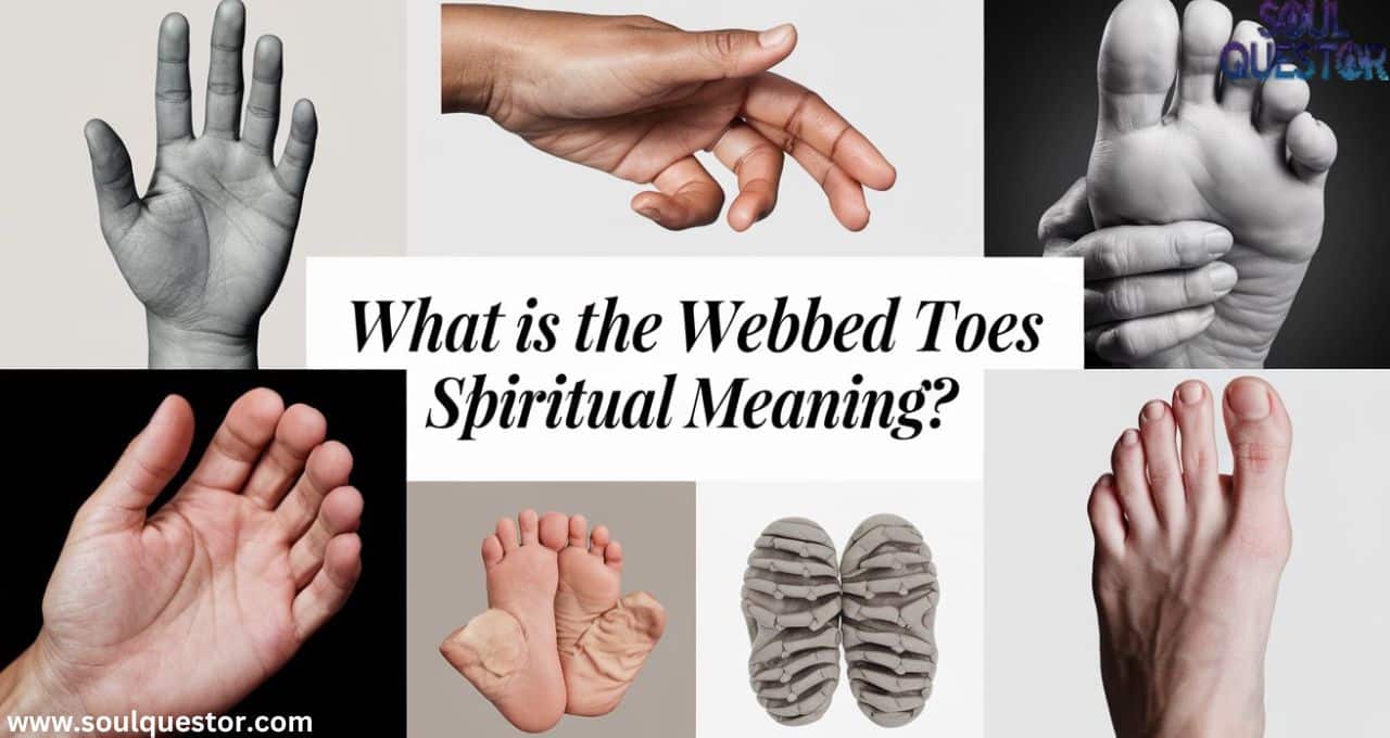 What is the webbed toes spiritual meaning