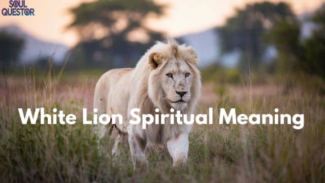 White Lion Spiritual Meaning