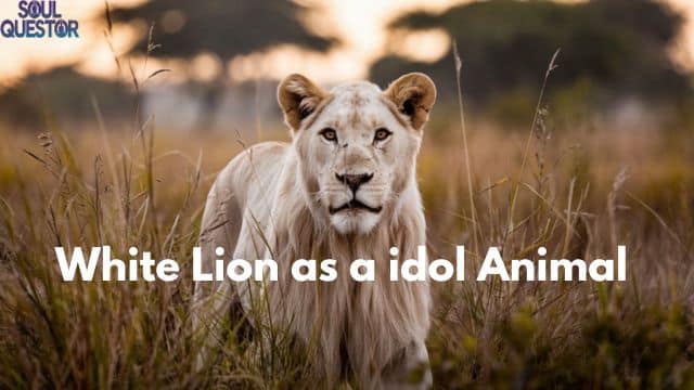 White Lion as a idol Animal